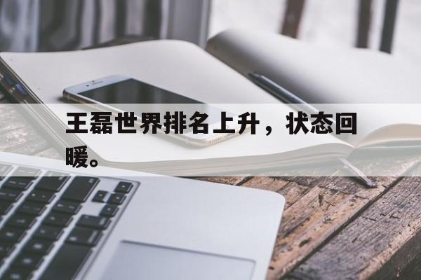 问鼎娱乐官方-王磊世界排名上升，状态回暖。